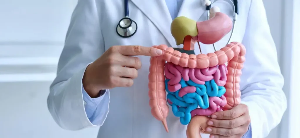 gastroenterology bna 1